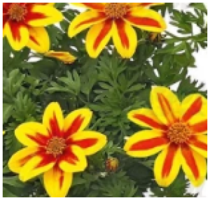 Снимок экрана 2025-10-18 193342